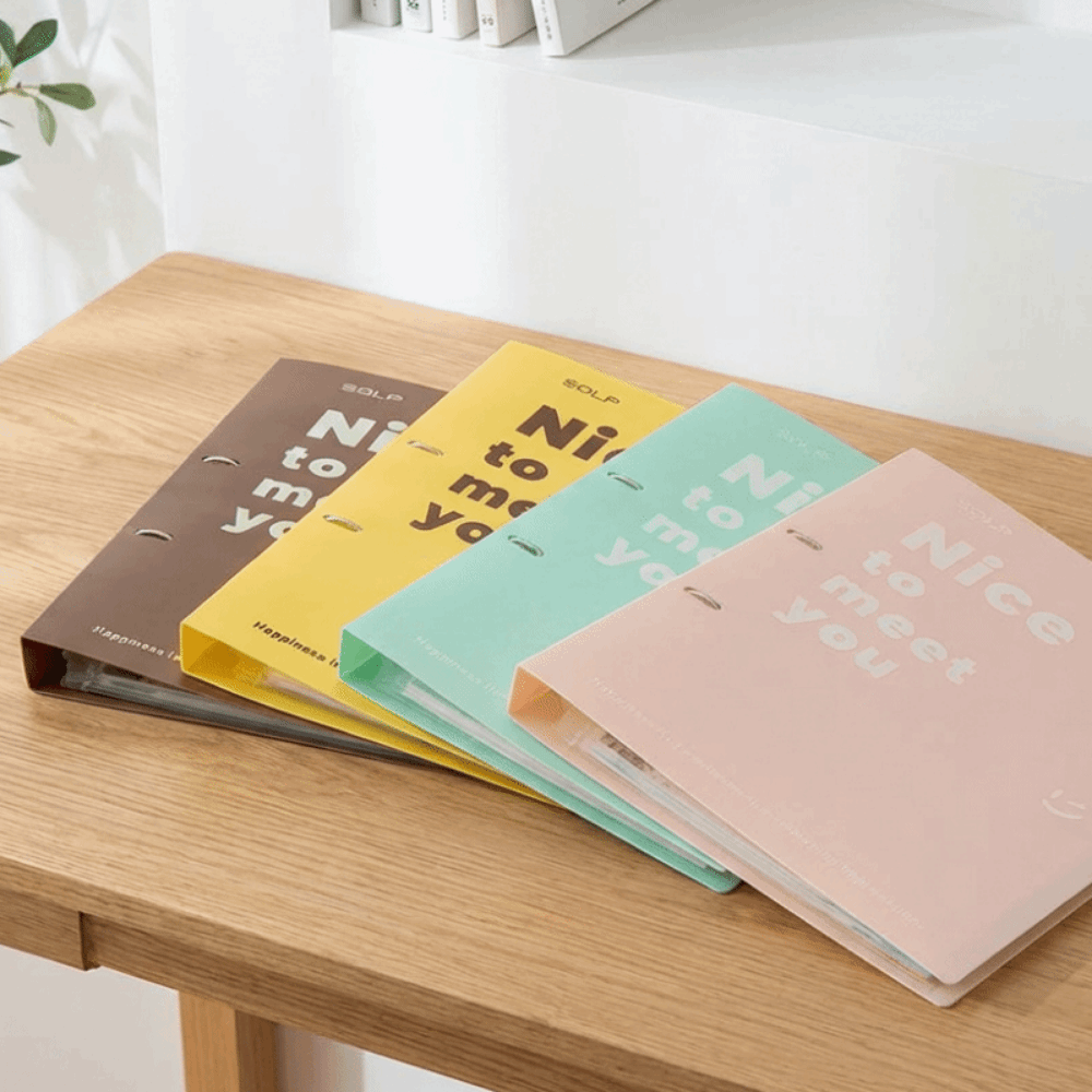 PP Loose Leaf File Bag Set Det - Binder Clip Assorted avis et prix